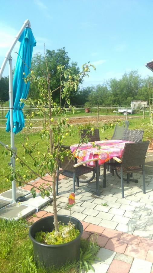 Ferienwohnung Am Verlorenen Bach Untermuhlhausen Luaran gambar